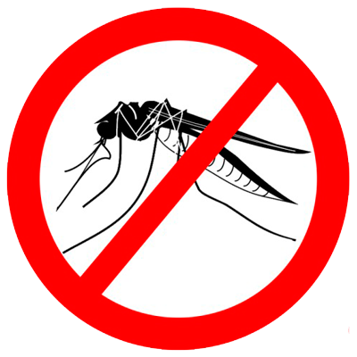 no-komarov