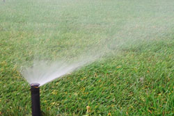 Автоматический полив